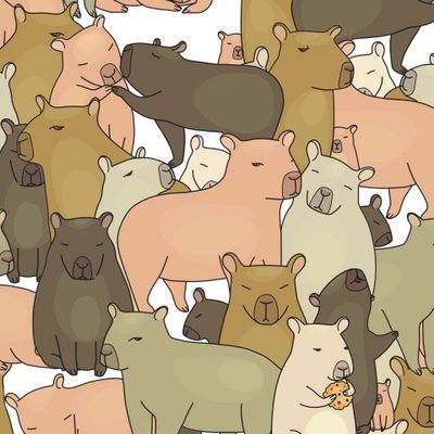 Капибары, морские свинки, хомяки в различных позах.