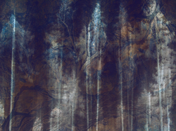 Коллекция EUPHORIA 22