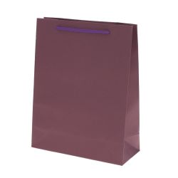 GAEM Пакет подарочный (бумага 210г/м2, блок 12шт), L19 W8 H24,5 см, 4в.