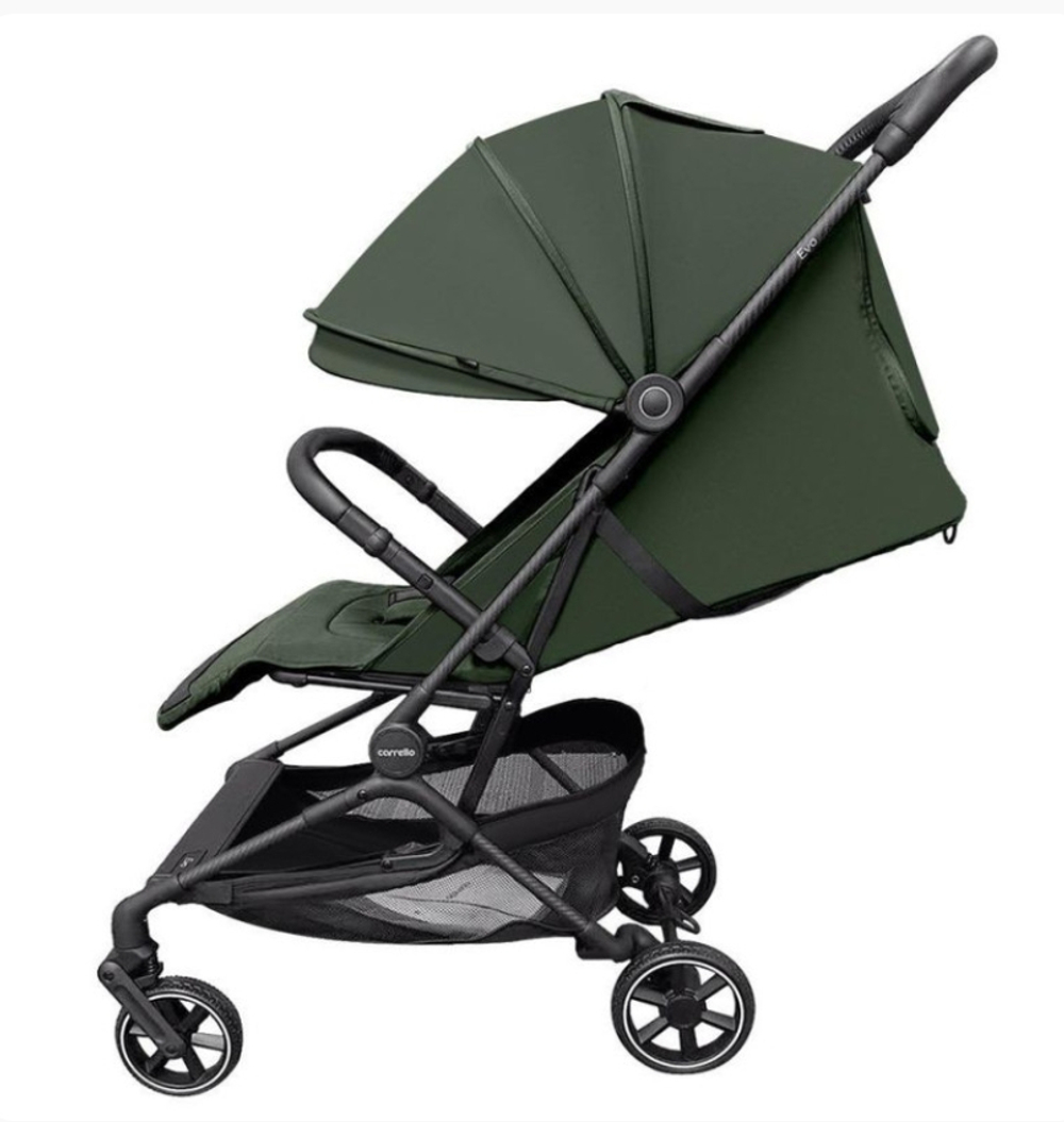 Коляска прогулочная Carrello Evo