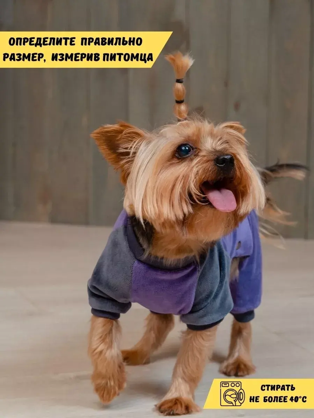 Комбинезон костюм для собак и кошек