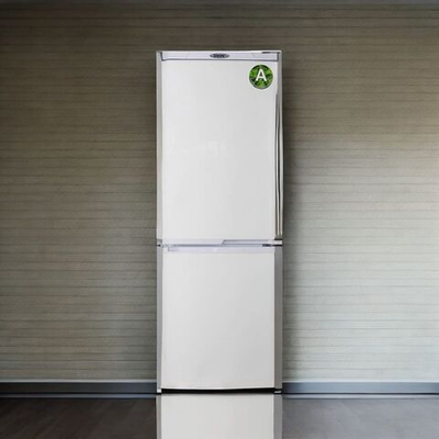 Холодильник DON R-290 В