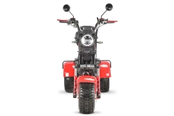 Электротрицикл WHITE SIBERIA Ikra 5000W
