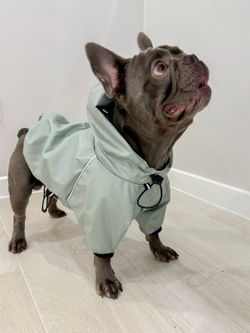 Универсальная куртка дождевик для собак Монморанси, цвет олива, размер L