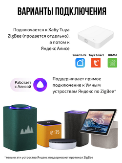 Умное реле Tuya с Алисой 2 линии