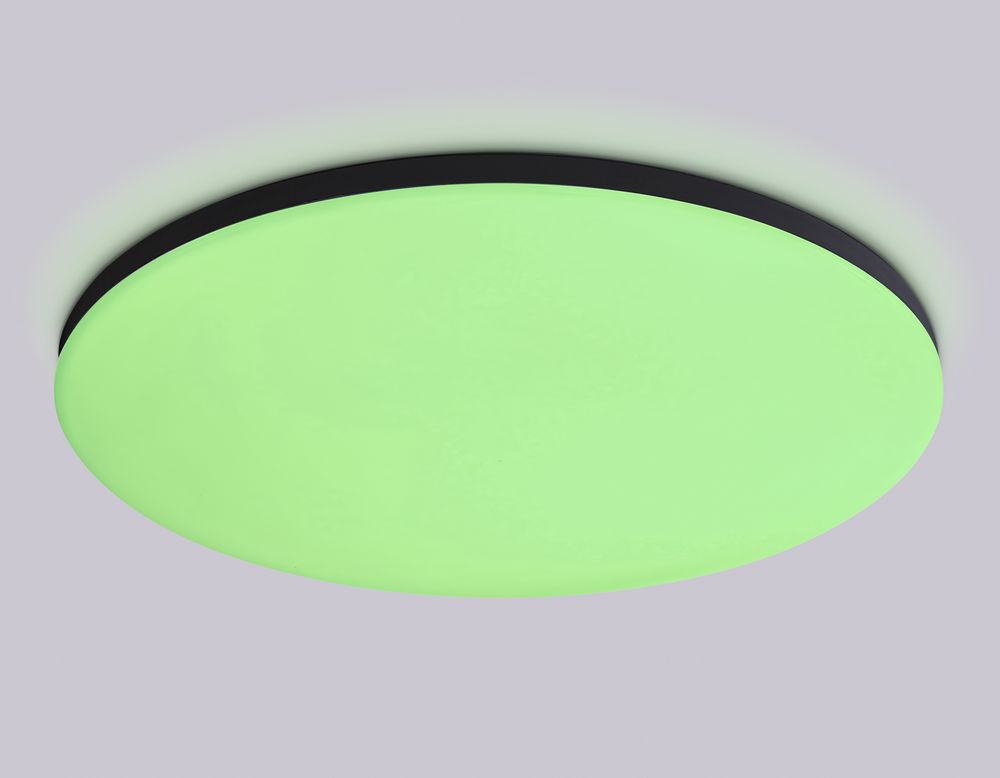 Ambrella Умный светодиодный светильник Smart Ambrella Light 30W с Wi-Fi, Яндекс Алисой, Tuya, Smart Home, Alexa и ИК пультом Dance FZ2006