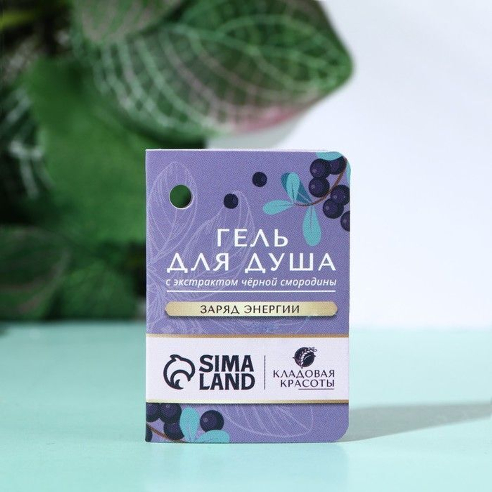 Гель для душа с экстрактом черной смородины - 500 мл.