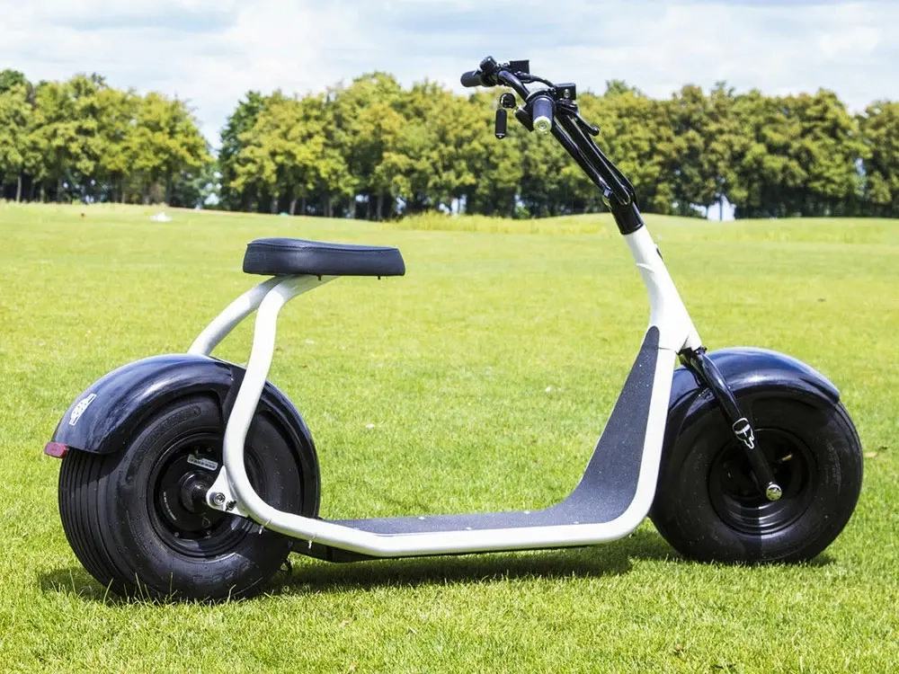 Электросамокат El-sport Citycoco 1500W 60V, 20Ah