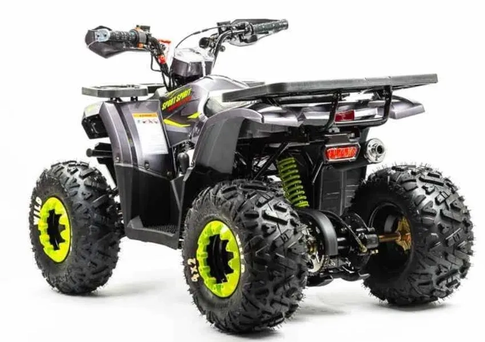 Квадроцикл Motoland 125 WILD (2020 г.)