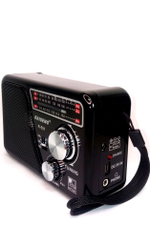 Радиоприемник Raiseng R-551