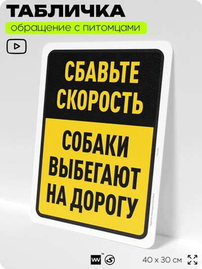 Табличка "Сбавьте скорость, собаки выбегают на дорогу" на дверь и забор, для двора, дома, подъезда, 40х30 см, Silver Plane x Айдентика Технолоджи