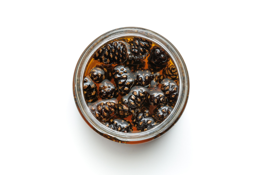 Сосновая шишка в меду