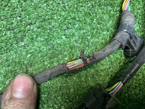 Проводка переднего бампера Haval Dargo (2022-н.в.)