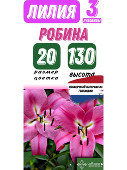 Лилия Луковица, Робина, ОТ-гибрид, разбор 20/22, 3 шт
