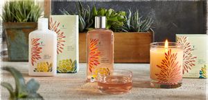 Thymes Agave Nectar