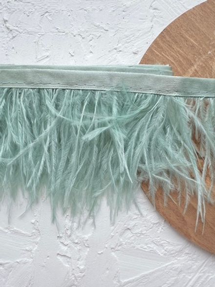 Перо страуса на ленте, Мята