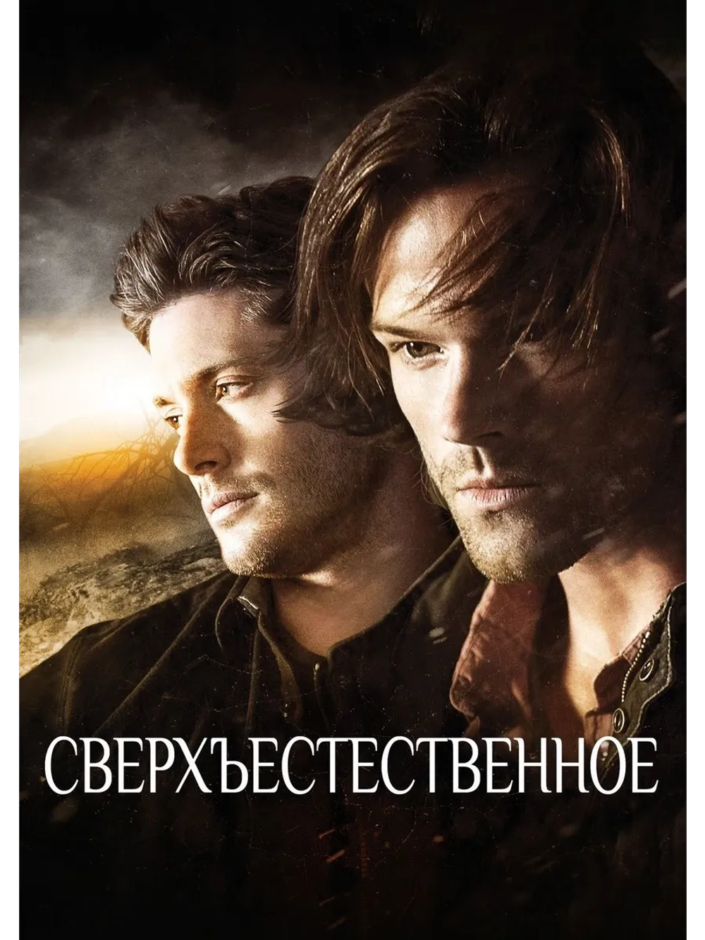 Сверхъестественное, 14 сезон (10 DVD) (DVD-R)
