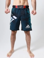 Шорты спортивные мужские для единоборств mma