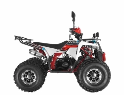 Квадроцикл Wels Thunder EVO X