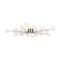 Потолочная люстра Freya Celebrity FR5242CL-24BS1