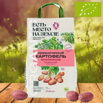 Картофель красный органический, сорт Беллароза. "Есть место на земле", 2 кг