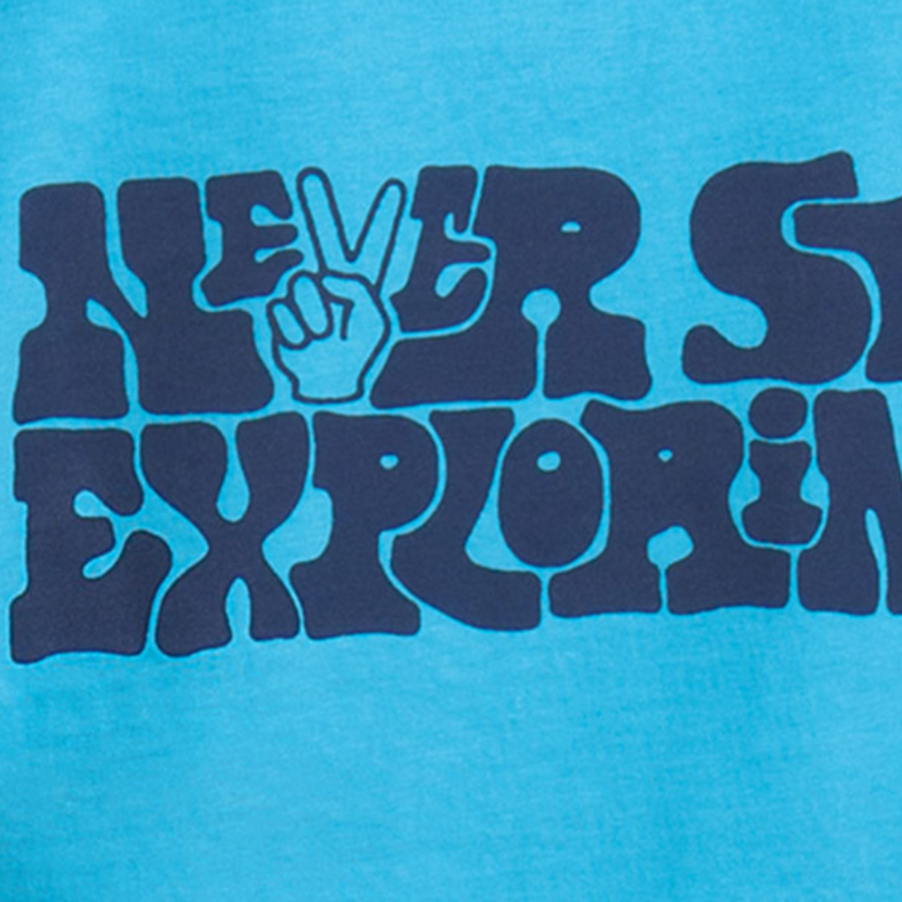 Худи THE NORTH FACE, NF0A4N6Q-L8P