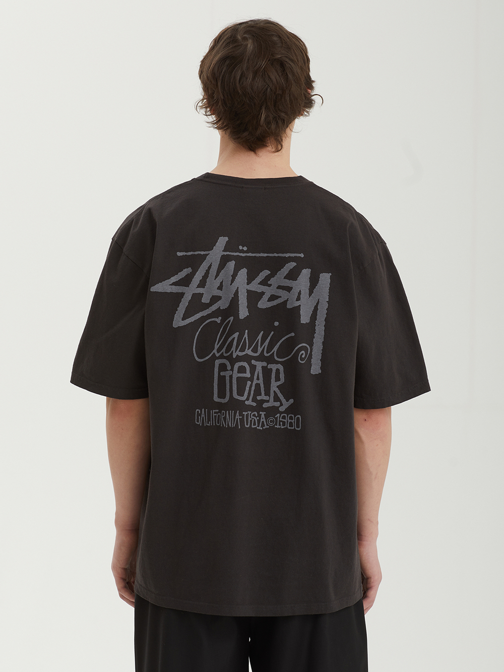 Мужская Футболка Basic Stussy Pig. Dyed