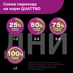 Корм сухой для взрослых собак породы Цвергшнауцер, с говядиной, 800 гр, QUATTRO