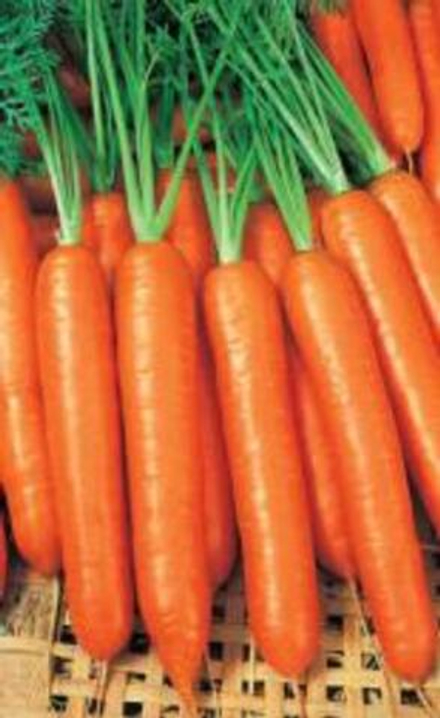 Морковь Нандрин  F1  0,3 гр Листок