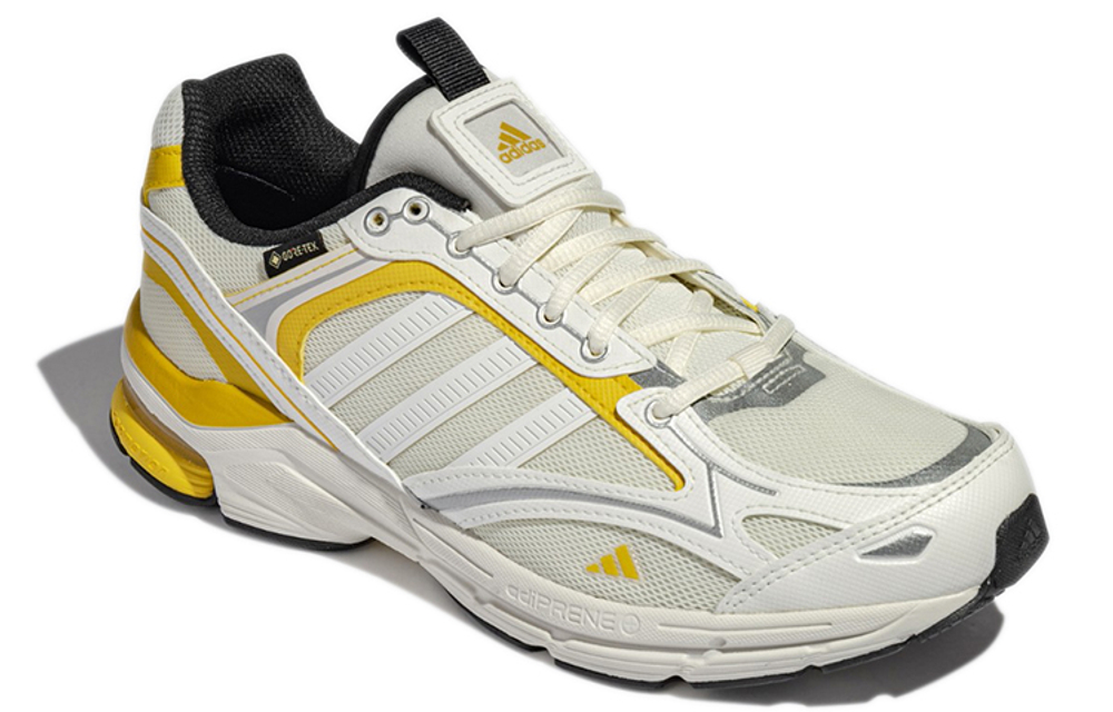 Кроссовки Adidas Spiritain 2000 Gore-Tex