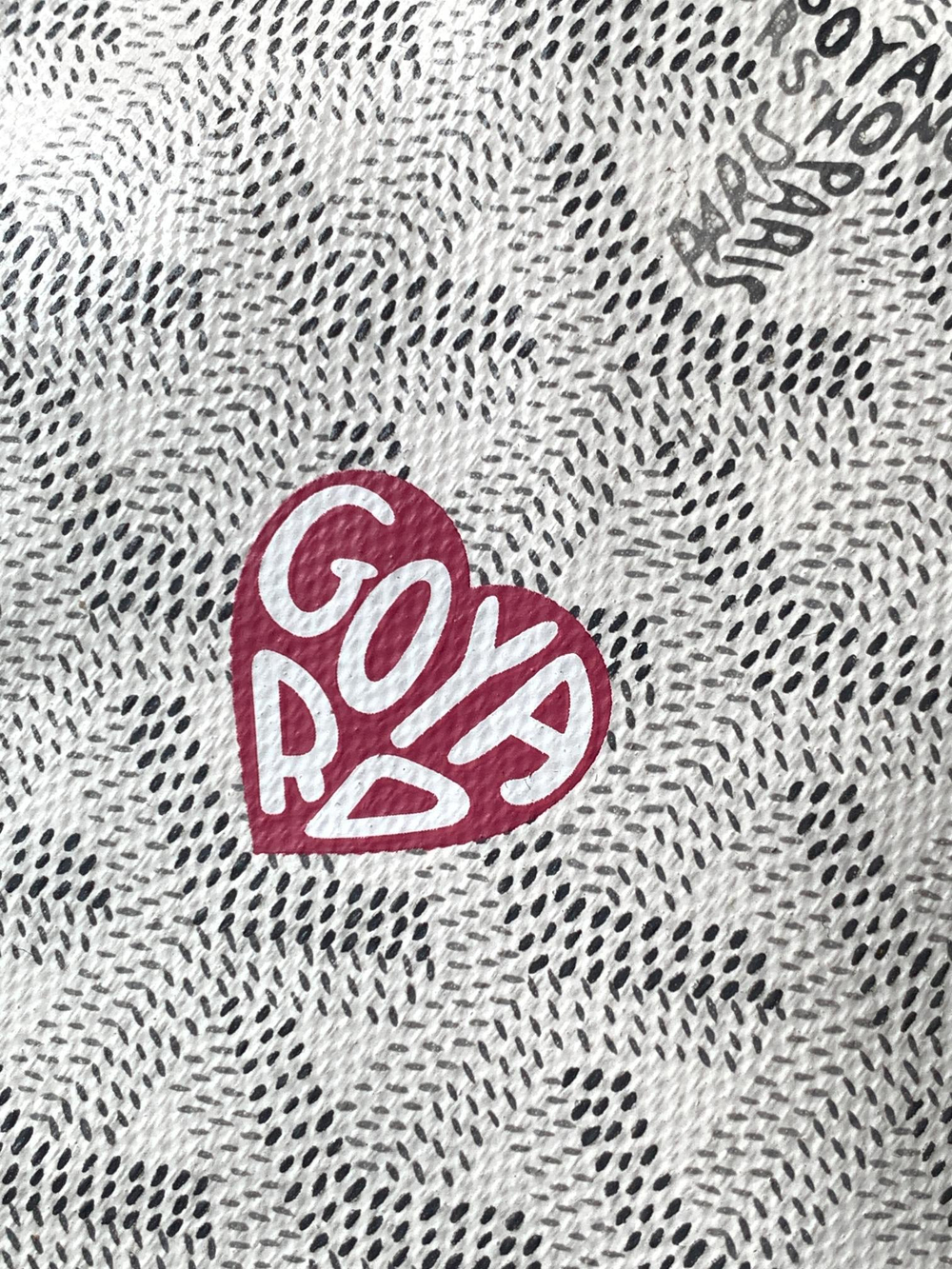 Goyard Anjou Mini Bag