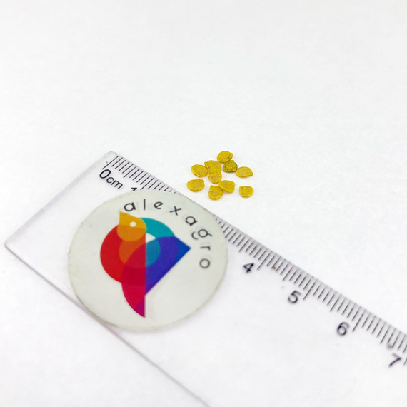 Еллоу Зуппа F1 семена перца сладкого (Rijk Zwaan /ALEXAGRO) семена – фото 9