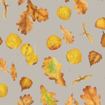 Осенние листья на сером 2