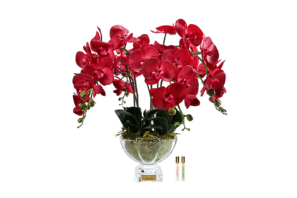 Букет ароматический Centerpiece Orchids Red
