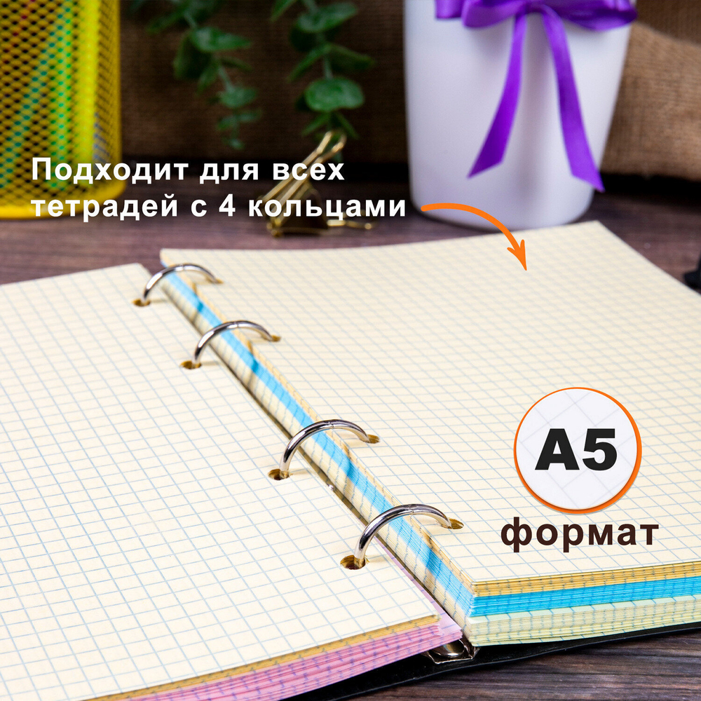 Сменный блок для тетради на кольцах А5 200 л. BRAUBERG 4 цвета по 50 листов (5 штук в упаковке)