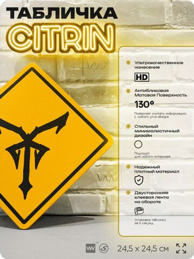Табличка декоративная "Resident Evil 4, Insignia" на дверь и стену, прикольная штука в подарок геймеру, декоративный знак, 24,5х24,5 см, Айдентика Технолоджи