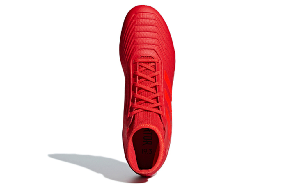 Кроссовки Adidas Predator Ag