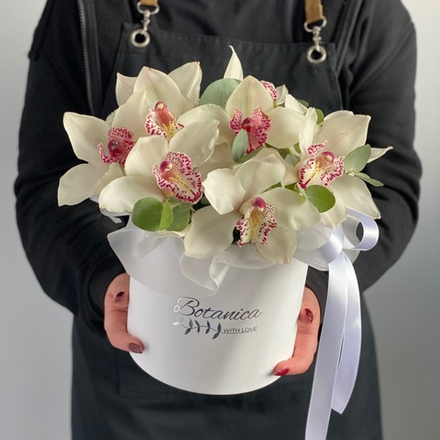 Шляпная коробка с белыми орхидеями и эвкалиптом. Букет 1032