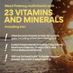 Nature's Way, Alive!® Max3 Potency, полный мультивитаминный комплекс для взрослых, с железом, 90 таблеток