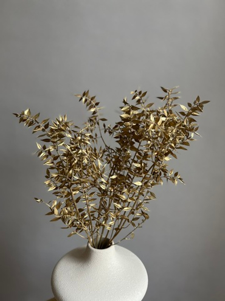 Рускус золотой