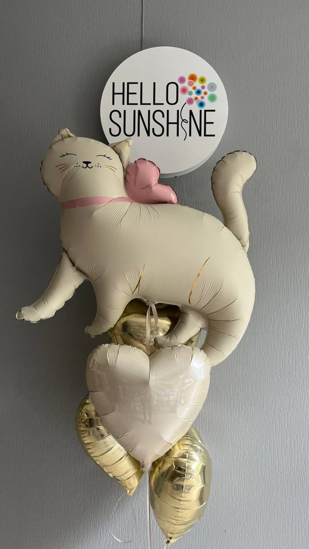 Набор шаров Кошечка