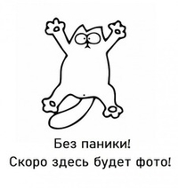 Дверь-купе ARISTO AVERS, зеркало, профиль золото матовое