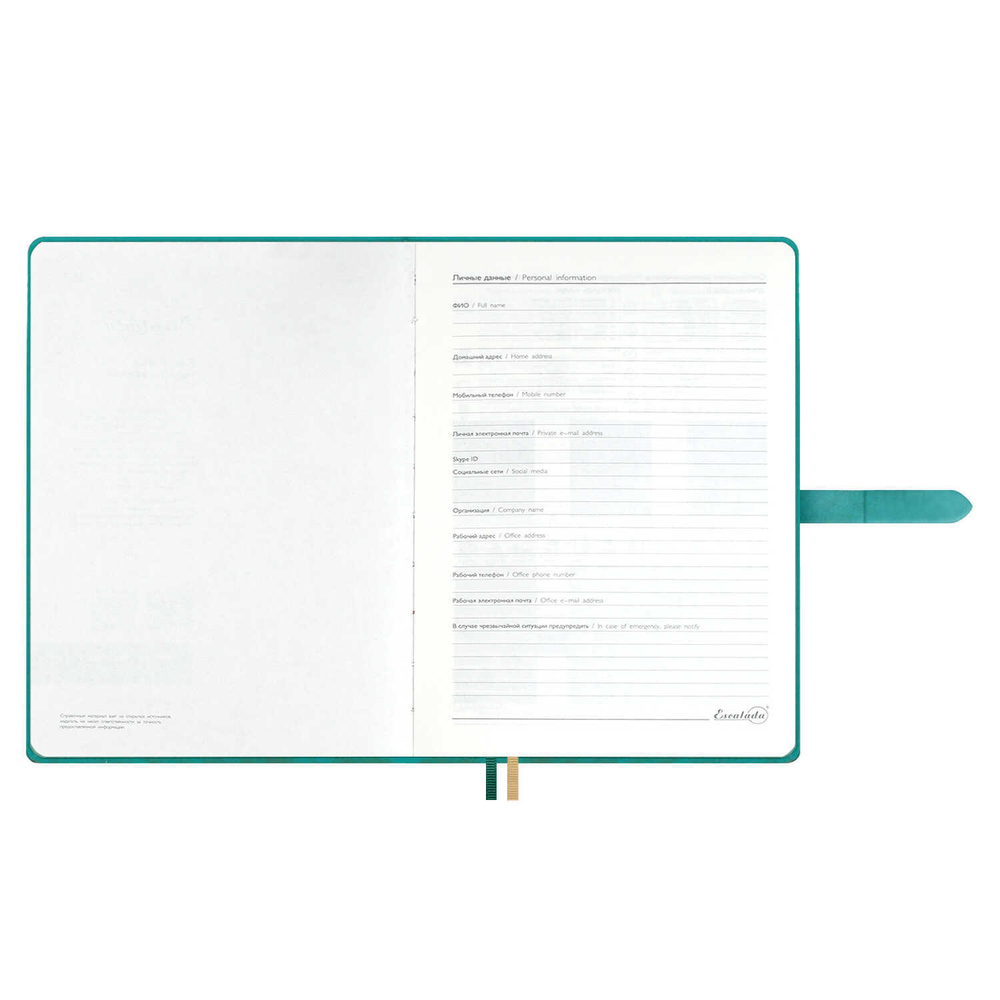 Ежедневник недатированный ESCALADA, А5+, 160 л., арт. 70580/ 10 ПРИСТИН МЯТНЫЙ (кожзам: 175x245 мм, твёрдый переплёт, материал обложки: искусственная кожа "Пристин", искусственная кожа "Снейк"; способ крепления блока: ниткошвейный; декор: блинтовое т