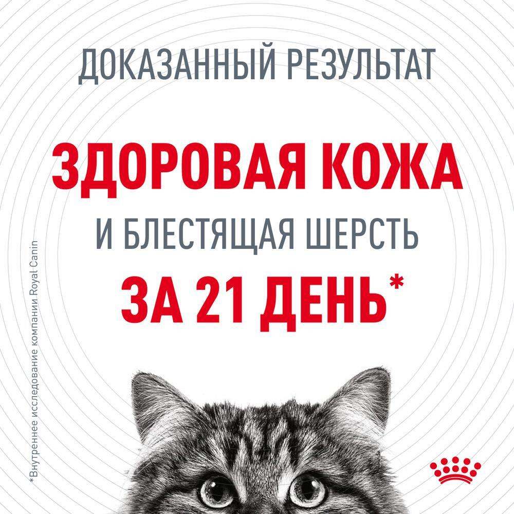 Тонкие ломтики в желе, 85г Hair & Skin для здоровья кожи и блеска шерсти Royal Canin
