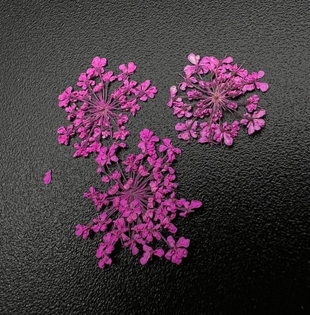 Сухоцветы "Любимые цветочки", 1681