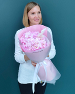 Гортензия розовая,1шт(00095)