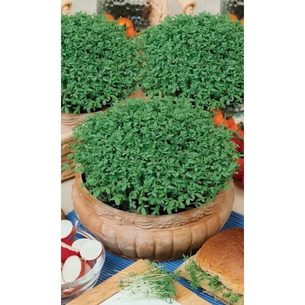 Семена Кресс-салат Престиж (УД) 0,8гр Е/П