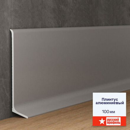 Плинтус алюминиевый Русский Профиль, 2500x12x100 мм