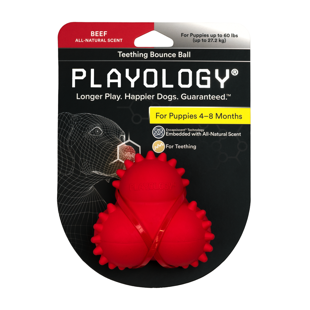 Playology дентальный жевательный тройной мяч SQUEAKY BOUNCE BALL для щенков 4-8 месяцев с ароматом говядины, цвет красный