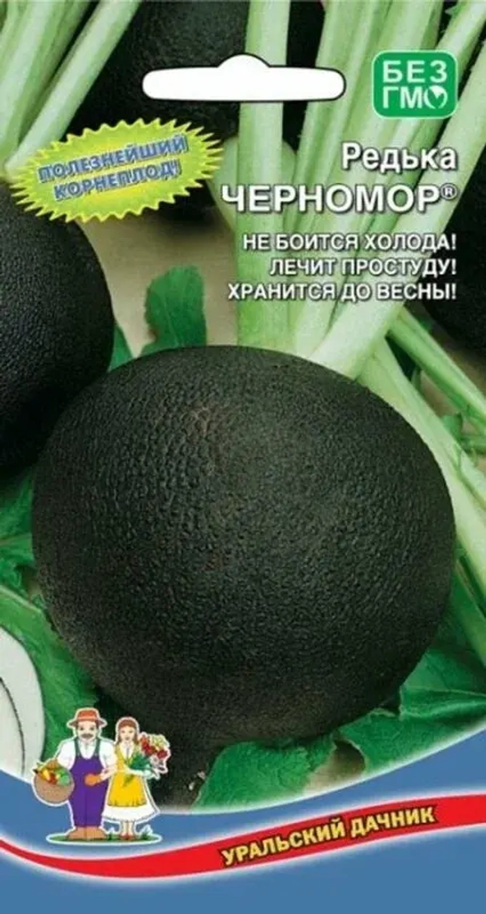 Редька черная
